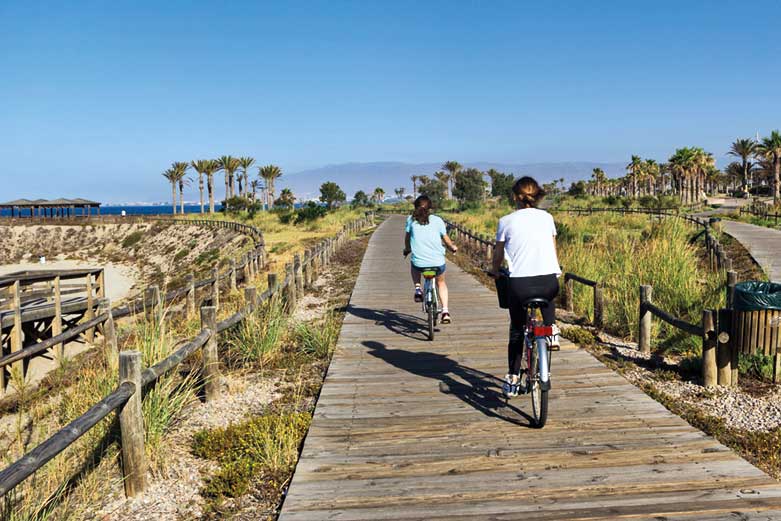 bicis