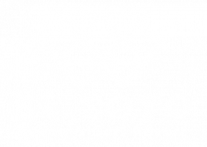 logo-toyo